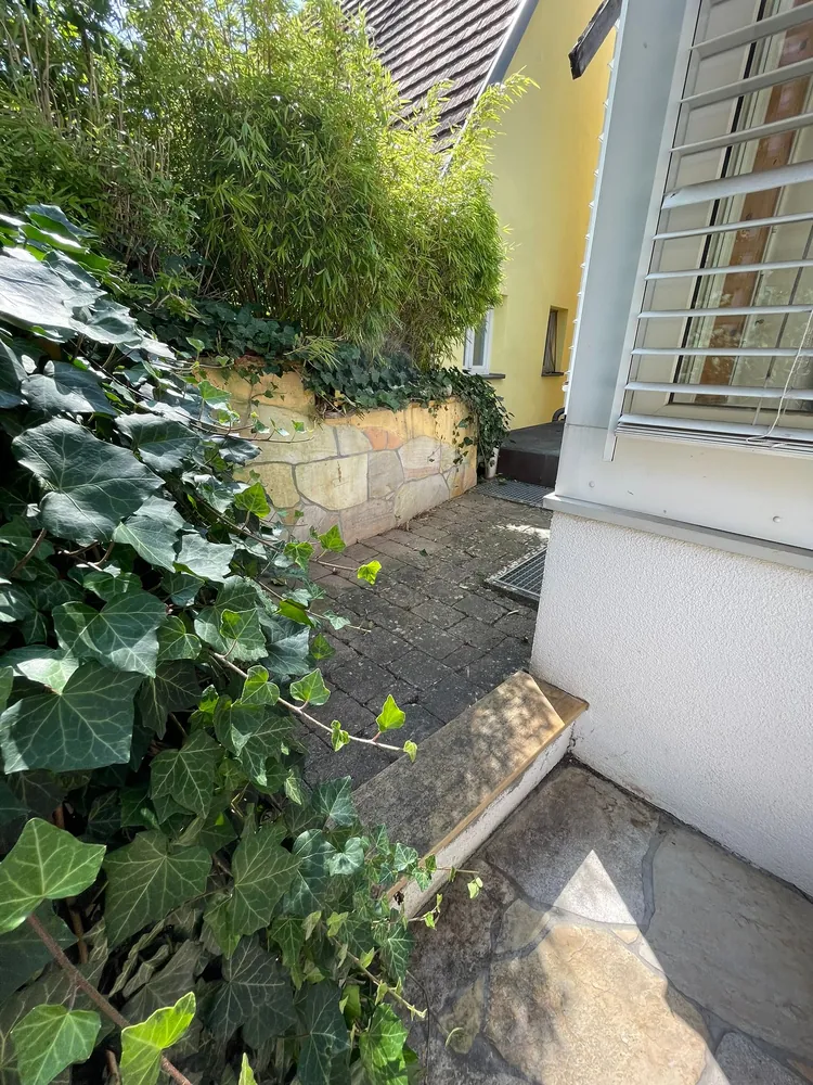 Derselbe Weg zurückgeschnitten und wieder begehbar